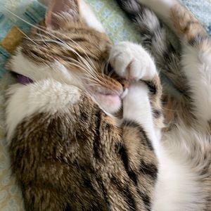 Meet your Posher, Katherine